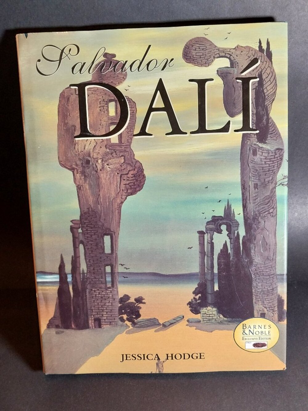 SALVADORE DALI by Jessica Hodge Over 80 Paintings Surrealism 1994, Hardcover